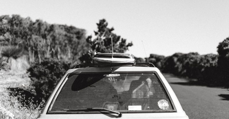 Roof Racks - Old car on road between lush trees in sunlight