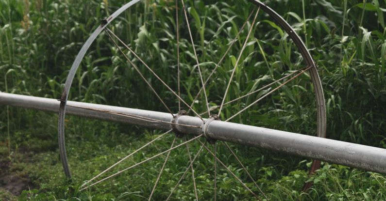 Sprinkler Systems - A Shot of Watering System on a Corn Field 