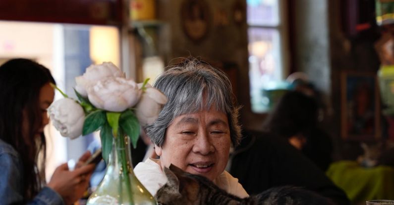 Pet Trackers - Woman Sitting near Cat at Cafe